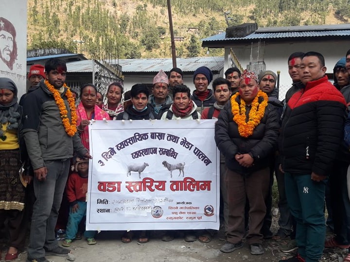 व्यवसायिक बाख्रा पालन तालिम सम्पन्न